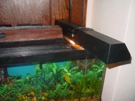 Pictures of the 29 gallon