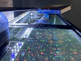 I need an opinion of this tank ASAP