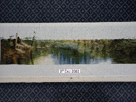 Cross stitch