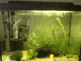 Cory looking ill?