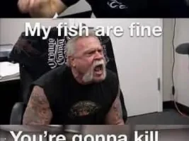 How every thread goes