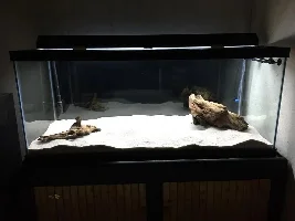 My 75 Gallon Is Started!
