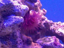 Complete Noobie Exploring Unknown Territories