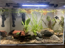 What’s wrong with my Oto?