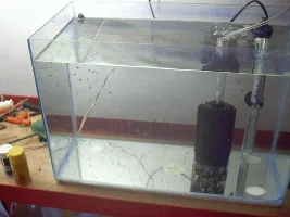 my fish room