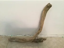 Driftwood?