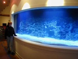 Dream Tank