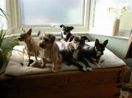 My Rabble!