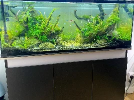 New 180 long setup!
