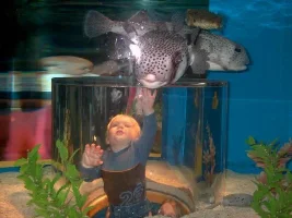 Amazing Tank