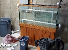 Window Well Aquarium