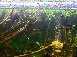 Exciting Trip to the Fish Store