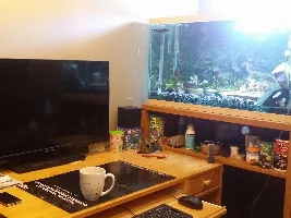 Haven't seen this at the pet store yet...