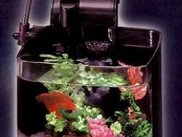 8 gallon