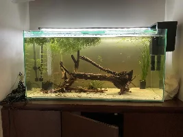 148.6L (39.2 gallon) aquarium journal