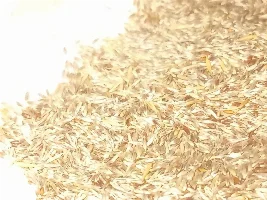 Identify Aquatic Grass Seeds?