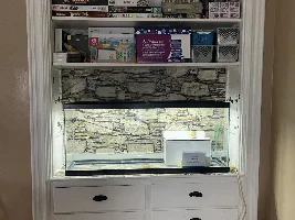 new to the whole fish thing etc