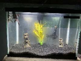 Are my tanks too small???