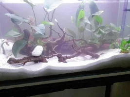 A 60Litre Named.. Aquapit..
