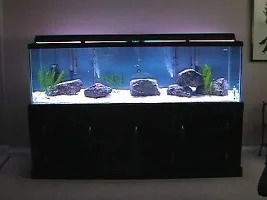 more rocks!