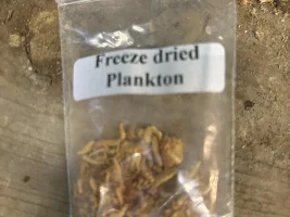 Not an emergency, because I over filter… piston air pump failed / failing