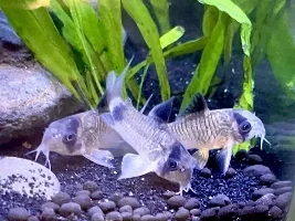 Hello!!