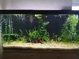 TofferMora tank journal