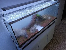 Dry start, Annoying LFS, Manado