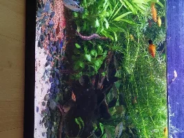 When should I have my co2 on