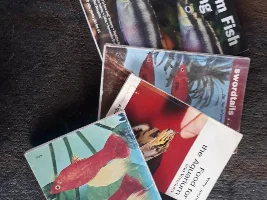 Books, Here is my Library