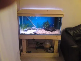 The New Tank Finished