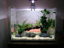 30 ltr Mopani low tech
