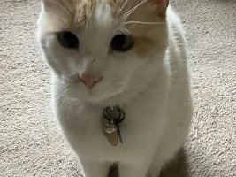 VOTE NOW - May 2025 Pet of the Month Contest