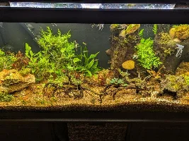 What to Do With This Mess?