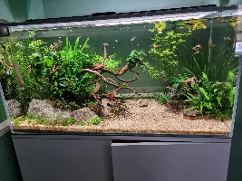 250L Aquascape