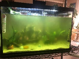 New here