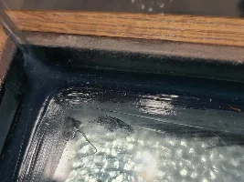 10 year old, never used tank