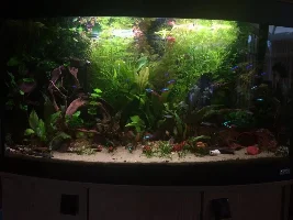 Leaking Tank Leads To New Beginnings