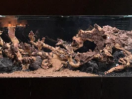 Aquatopia - 6x2x2 Low-Med Light, High Tech Nature Aquarium