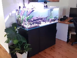 What to stock ?