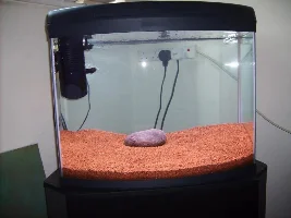 New To Tropical Fish Keeping: My Cat Litter Tank (Tesco Low Dust)