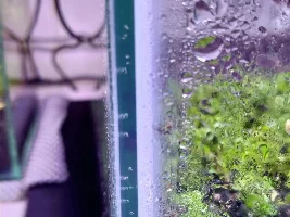 help bubbles inside silicone aquarium