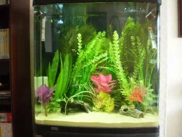 Sand In Tanks