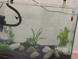 Cracked tank
