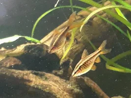 Media of my lovelies- Will be Updated!