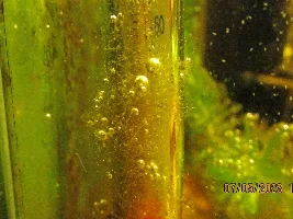 My (very) low-cost 7.92 gallons tank