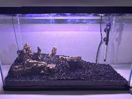 Any scaping advice?