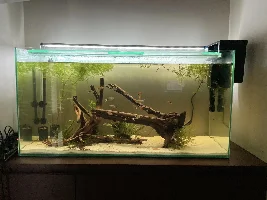148.6L (39.2 gallon) aquarium journal
