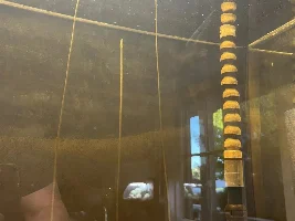 The great rebuild of my 55 gallon fish tank.