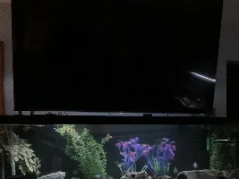 Aquarium under a wall mounted TV?